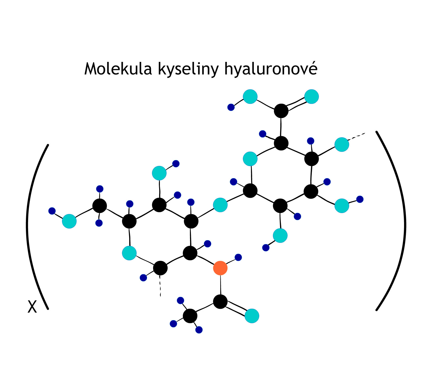 molekula kyseliny hyaluronové